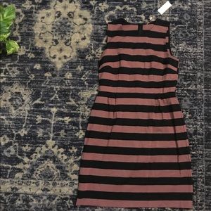 Loft striped dress, new with tags
